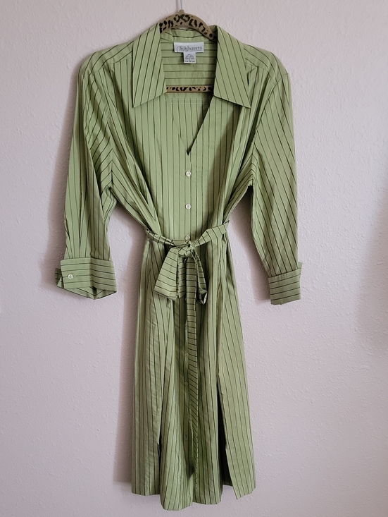 Diane Von Furstenberg Dresses & Skirts - Diane Von Furstenberg Silk Assets Light Green Pinstripe Sheen Button Shirt Dress